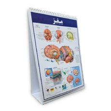 کتاب اطلس کالبدشناسی(آناتومی) بدن انسان اثر حمیدرضا بیات انتشارات اندیشه کهن