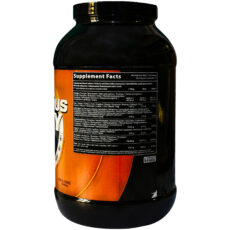 پودر پروتئین دلیشس وی کیو ان تی - 2200 گرم