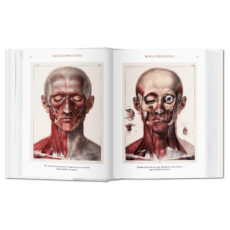 کتاب Bourgery. Atlas of Human Anatomy and Surgery اثر Jean-Marie Le Minor
انتشارات تاشن