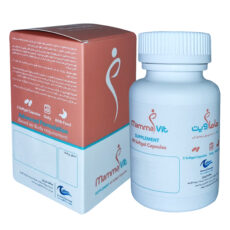 قرص ماماویت نانو حیات دارو بسته 60 عددی