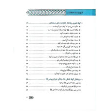 کتاب سیره نامه امیرالمومنین نبر صفین اثر علی کورانی عاملی انتشارات بین الملل جلد 4