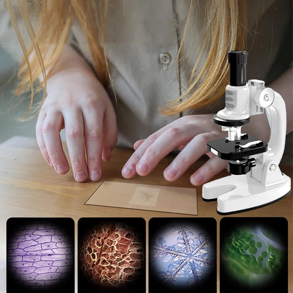 میکروسکوپ مدل SD222