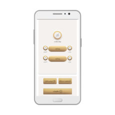 دزدگیر اماکن سوآکا مدل X4