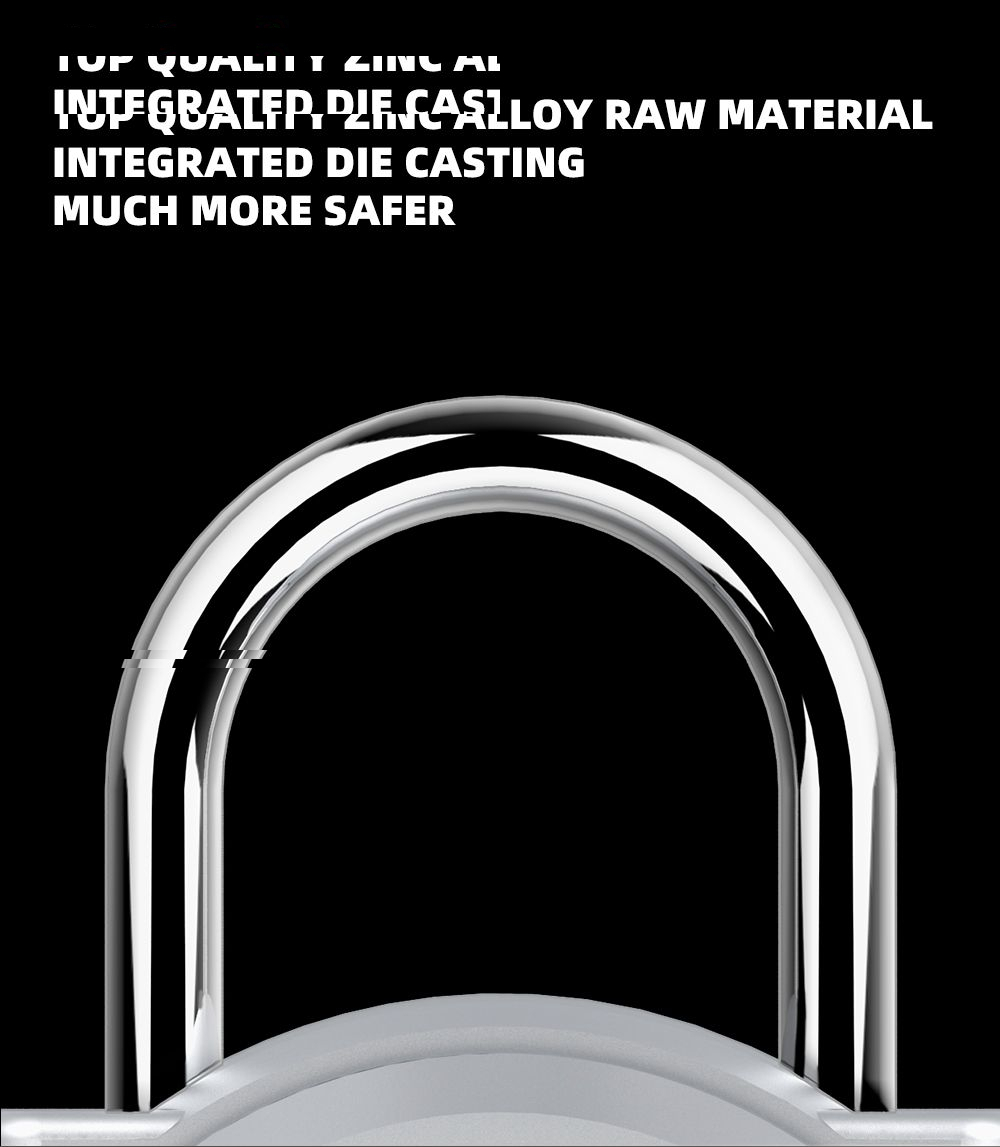 قفل هوشمند مدل P10