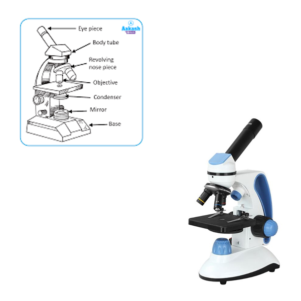میکروسکوپ مدل BM-113RT