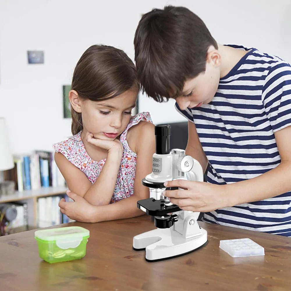 میکروسکوپ مدل SD222