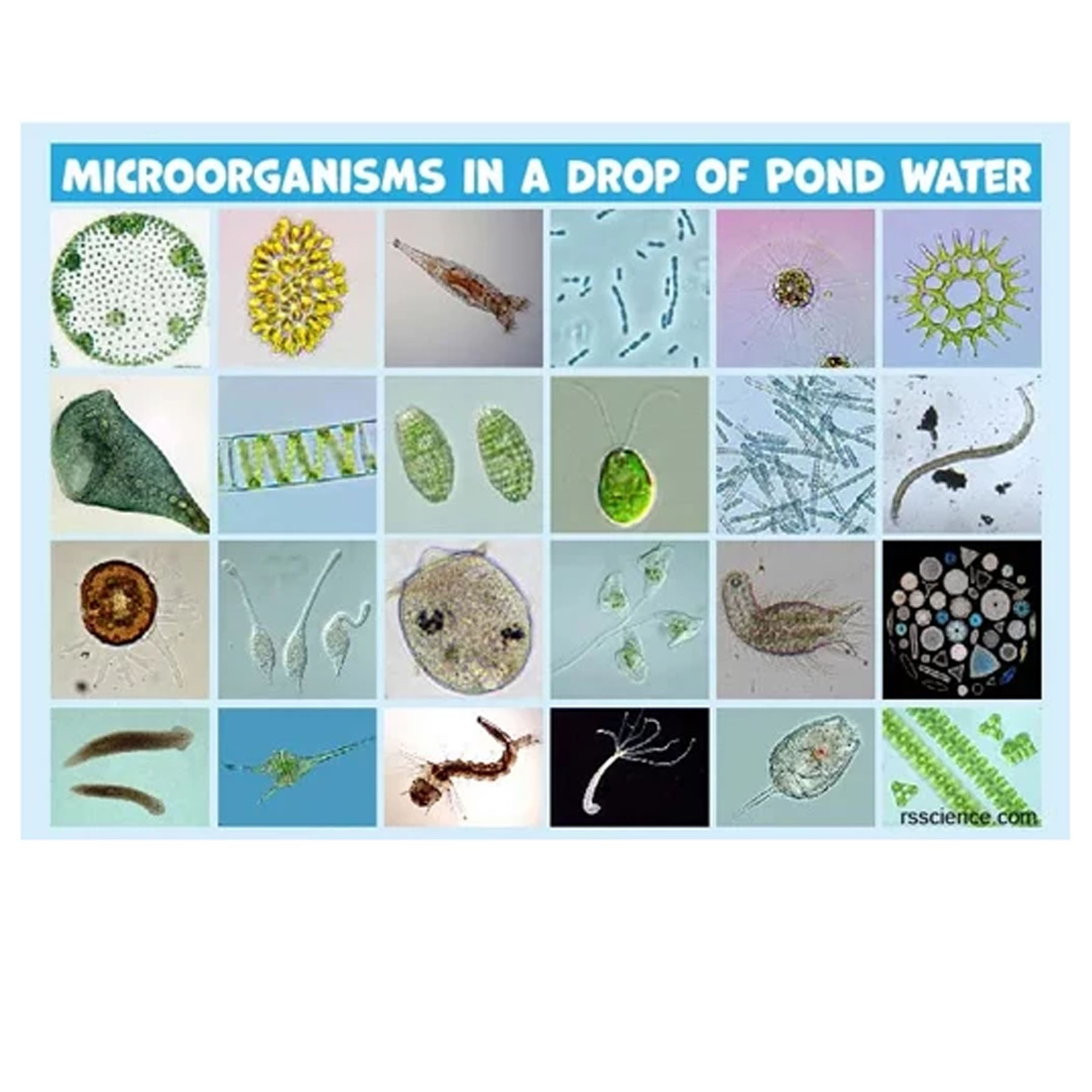 میکروسکوپ مدل 640x NEW 2025 به همراه کیف حمل