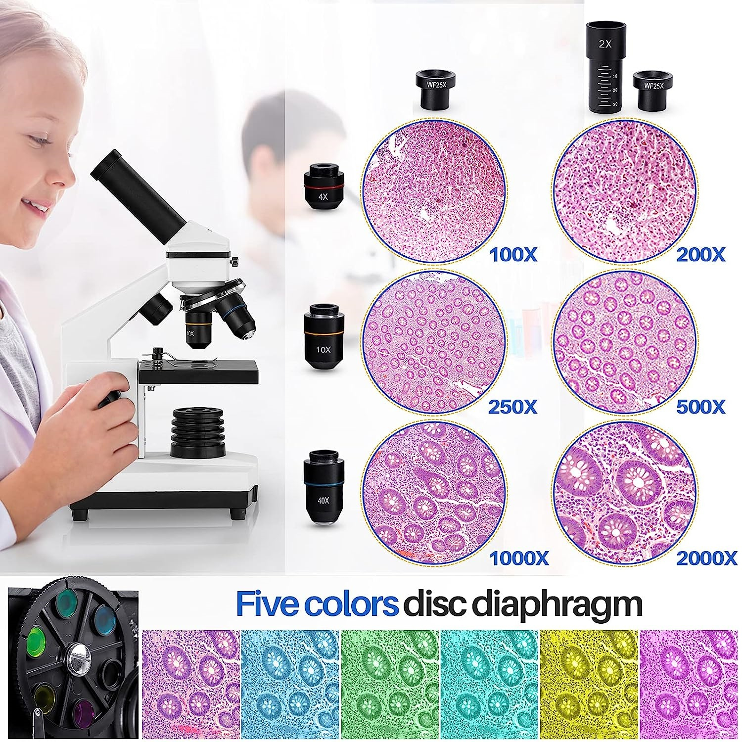 میکروسکوپ بیبنگ مدل wr-855