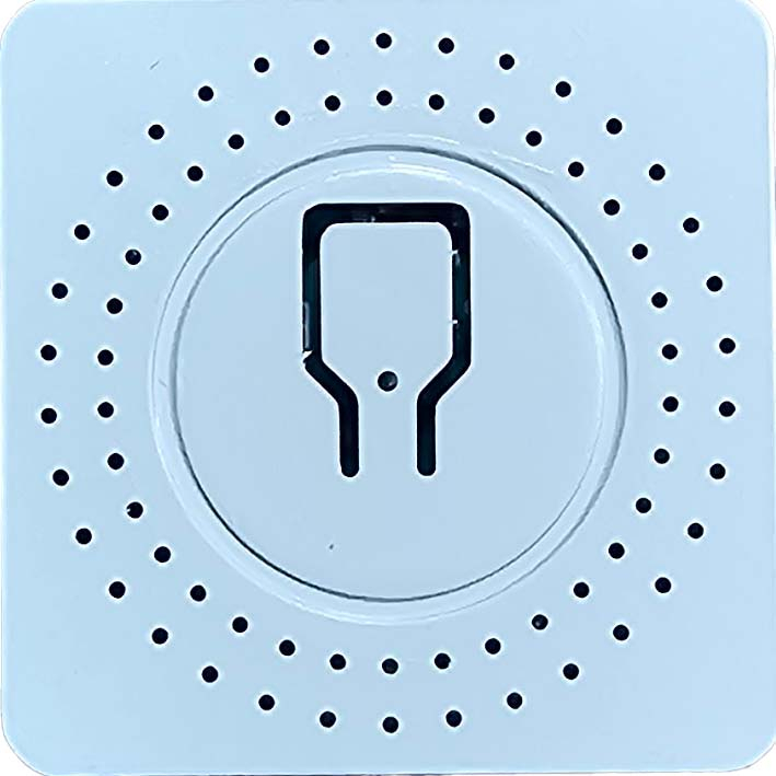 رله هوشمند دوکانال مدل :PZS-T10-2G