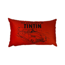 کوسن مدل تن تن در ماشین زرد