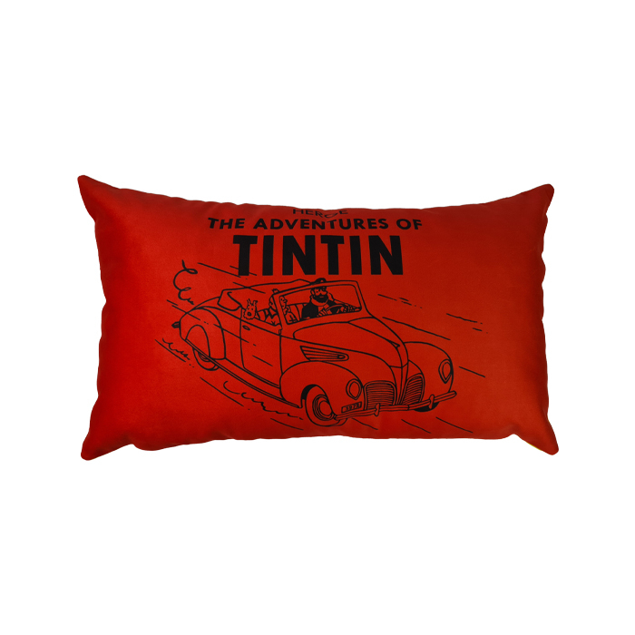 کوسن مدل تن تن در ماشین زرد