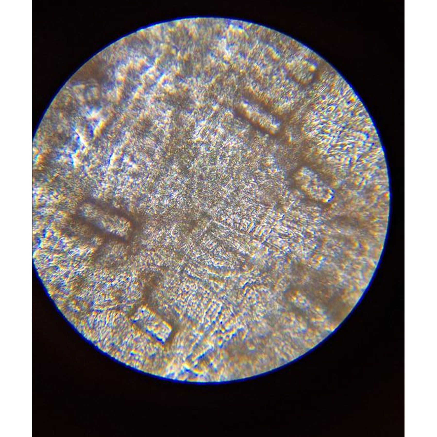 میکروسکوپ زیستی مدل دو سرعته کد NEW 2025