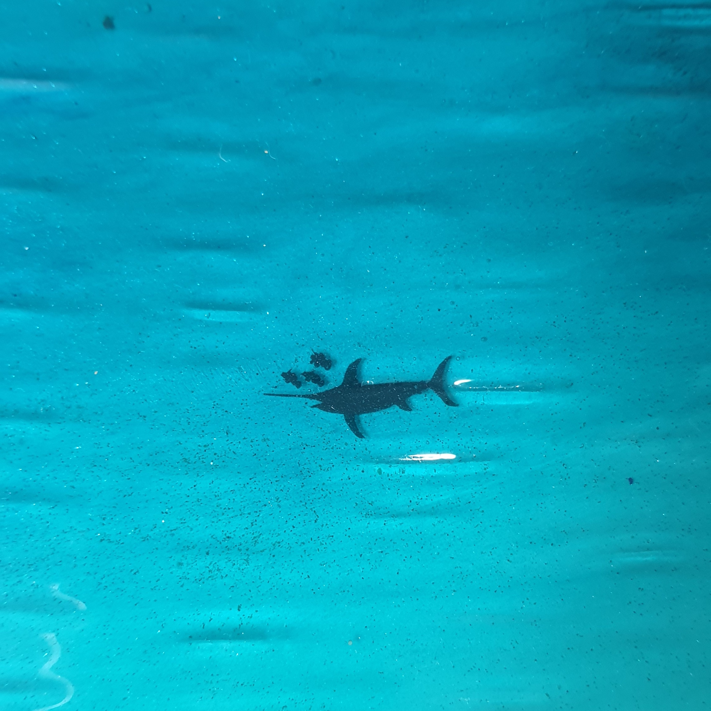 ساعت دیواری رزینی طرح ساحل و دریا