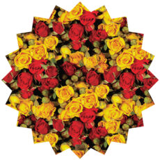 رومیزی رنس مدل TT6-42800