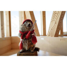 پیچ گوشتی دوسو سوئیس تولز مدل PB 8100.0-80