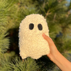 کوسن مدل روح مجموعه دو عددی