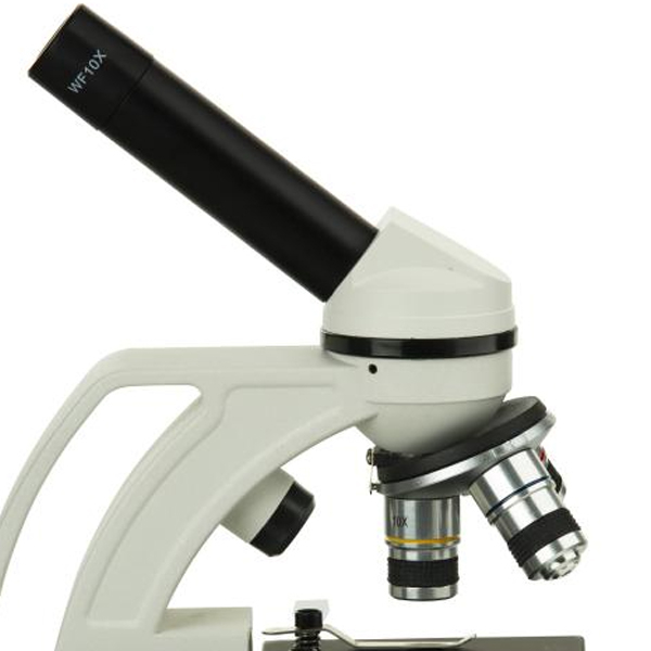 میکروسکوپ مدل زیستی کد NEW S30M