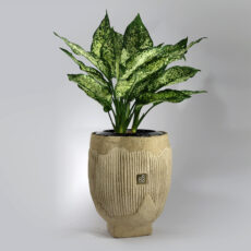 گلدان چوبی مدل ریستا