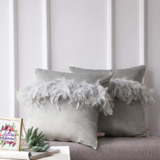 کوسن تیگران مفشوو مدل PARR مجموعه دو عددی