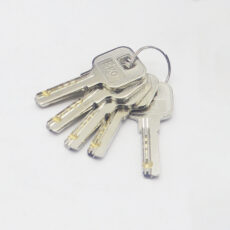 قفل برقی در حیاطی اکو مدل آلفا کد YP-EERL-1/12DC