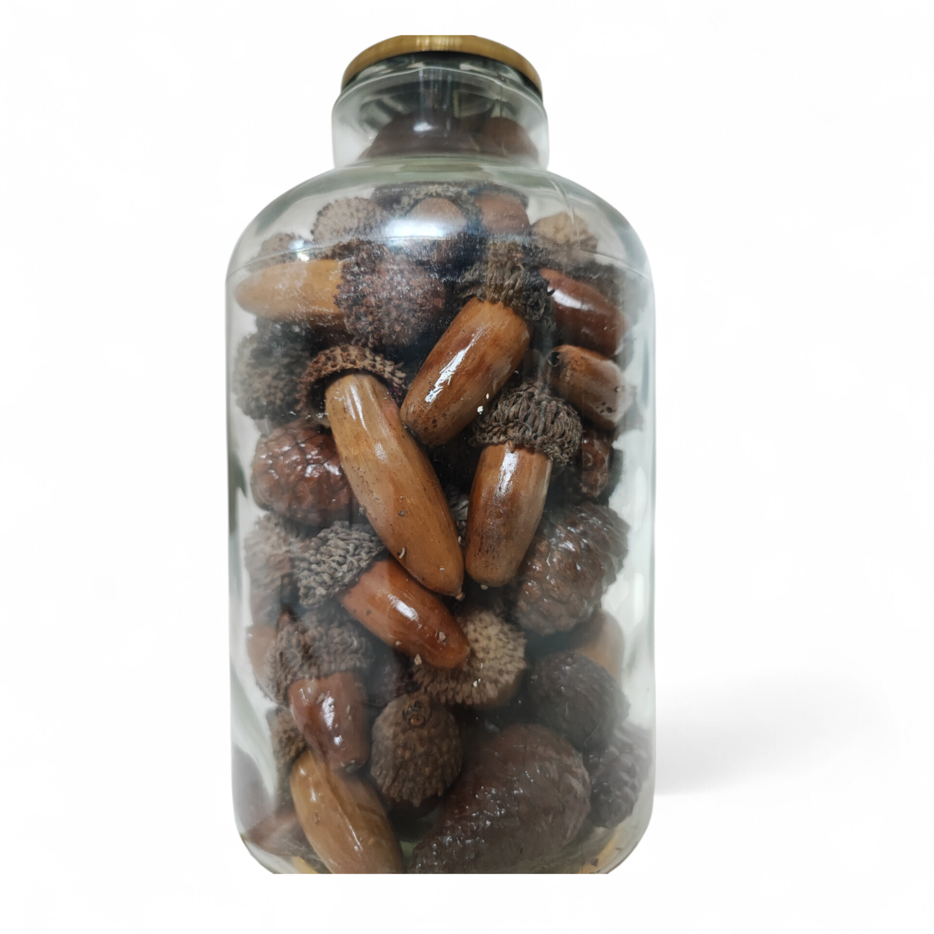 آباژور شیشه ای طرح بلوط مدل 01