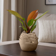 گلدان چوبی خمره مدل گل رز