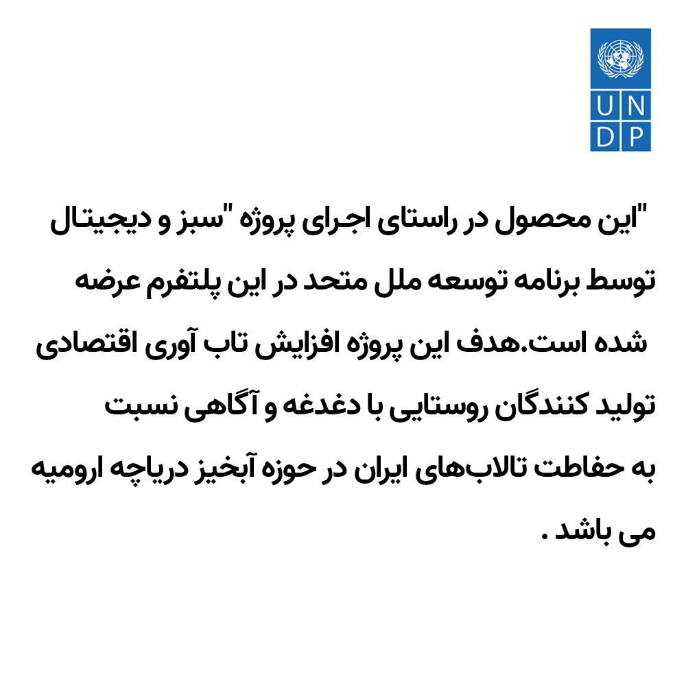 تابلو فرش مدل T-001