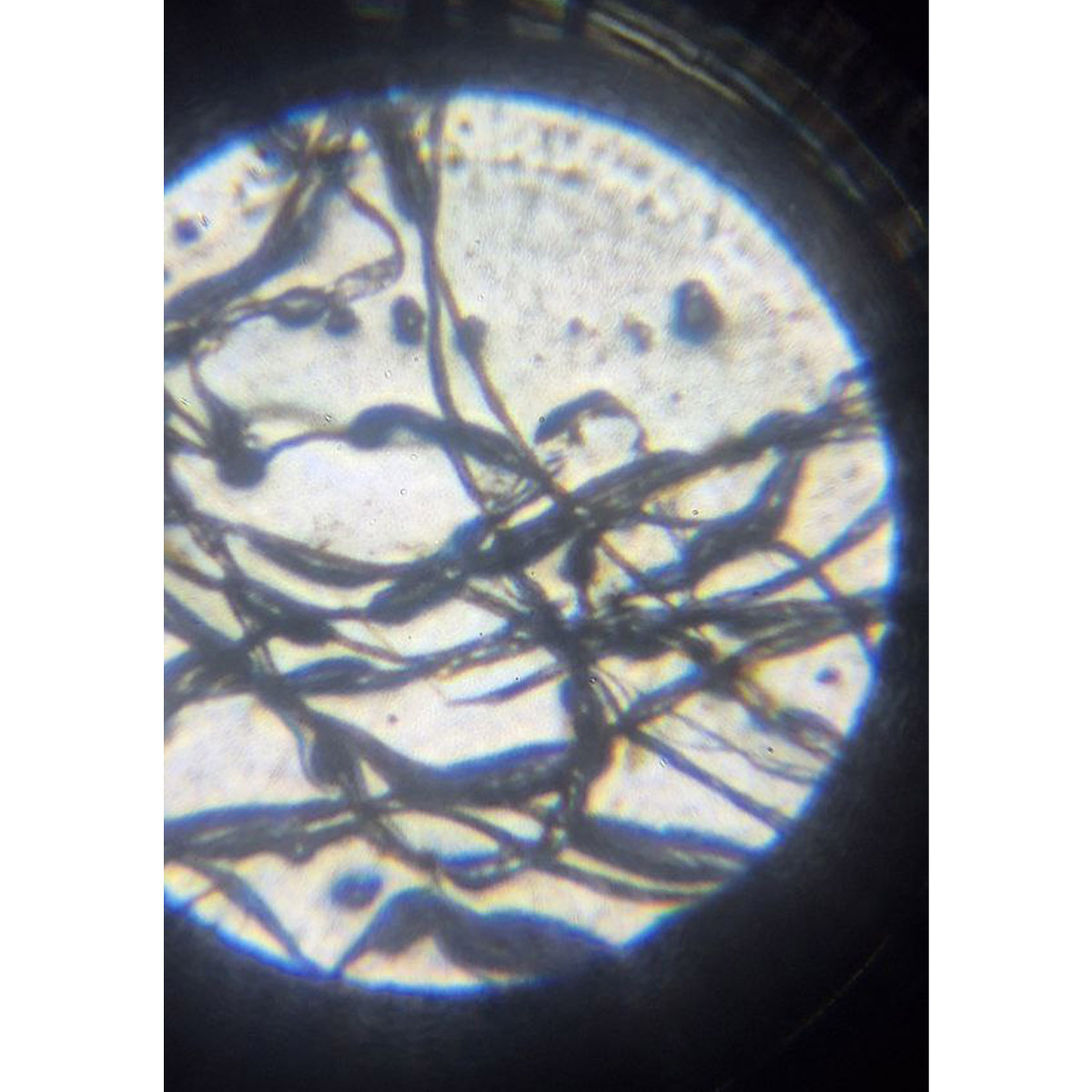 میکروسکوپ کامار مدل دانش آموزی 900X 71SET NEW