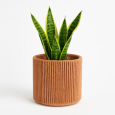 گلدان حصیر بافی مدل GL10