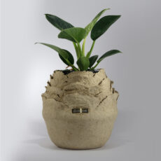 گلدان چوبی خمره مدل گل رز