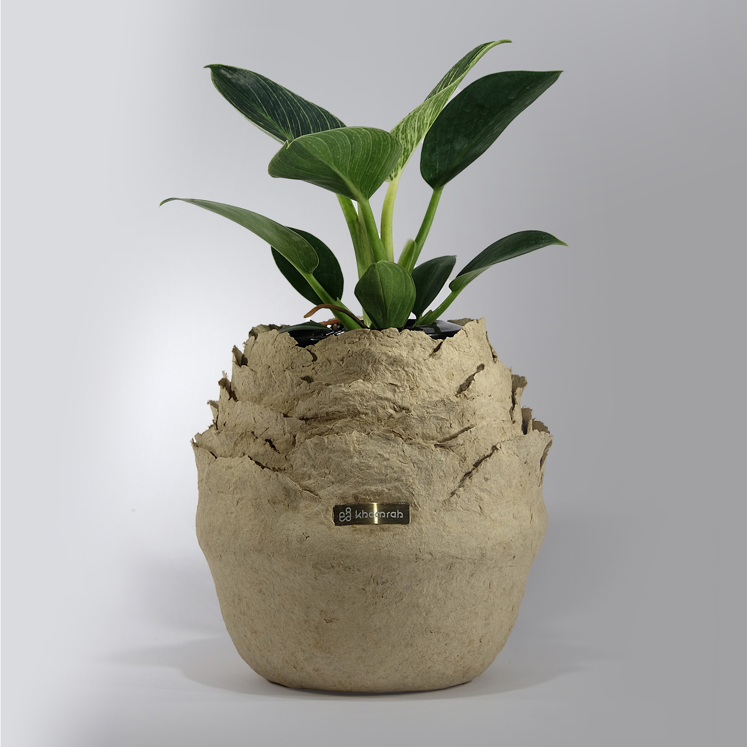 گلدان چوبی خمره مدل گل رز