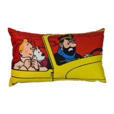 کوسن مدل تن تن در ماشین زرد