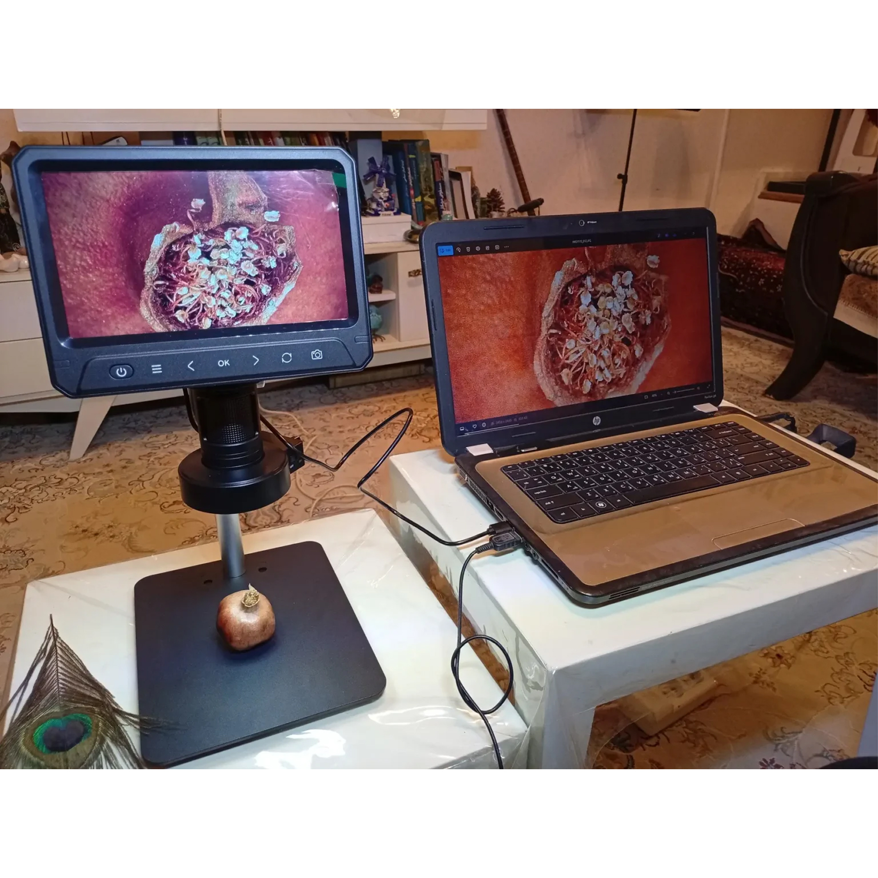 میکروسکوپ دیجیتال مدل 1200X HD 12MP به همراه ریموت کنترل