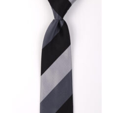 ست کراوات و دستمال جیب مردانه نسن مدل V12