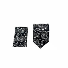 ست کراوات و دستمال جیب مردانه آریوان مدل  بته جقه کد TM9901
