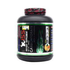 پودر کربوهیدرات و ال آرژنین آی اس اس - 2700 گرم