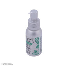 فر کننده و حالت دهنده مو حرفه‌ای جین لوییس دیوید مدل JLD-1806