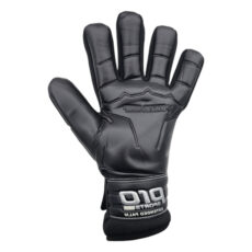 دستکش دروازه بانی مدل Pr-200 DAY1