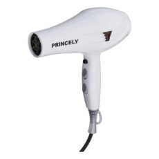 سشوار خانگی پرنسلی مدل PR249AT