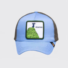 کلاه کپ مردانه مدل 952640