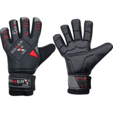 دستکش دروازه بانی مدل AA-456