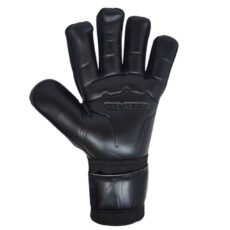 دستکش دروازه بانی مدل POX-LOSHAMPIOE