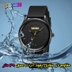 ساعت مچی عقربه‌ای مردانه اسکمی مدل 2112 BK