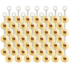 جاکلیدی خندالو مدل جشن الفبای کلاس اول عـ ع مثل عقاب کد 8811 مجموعه 49 عددی