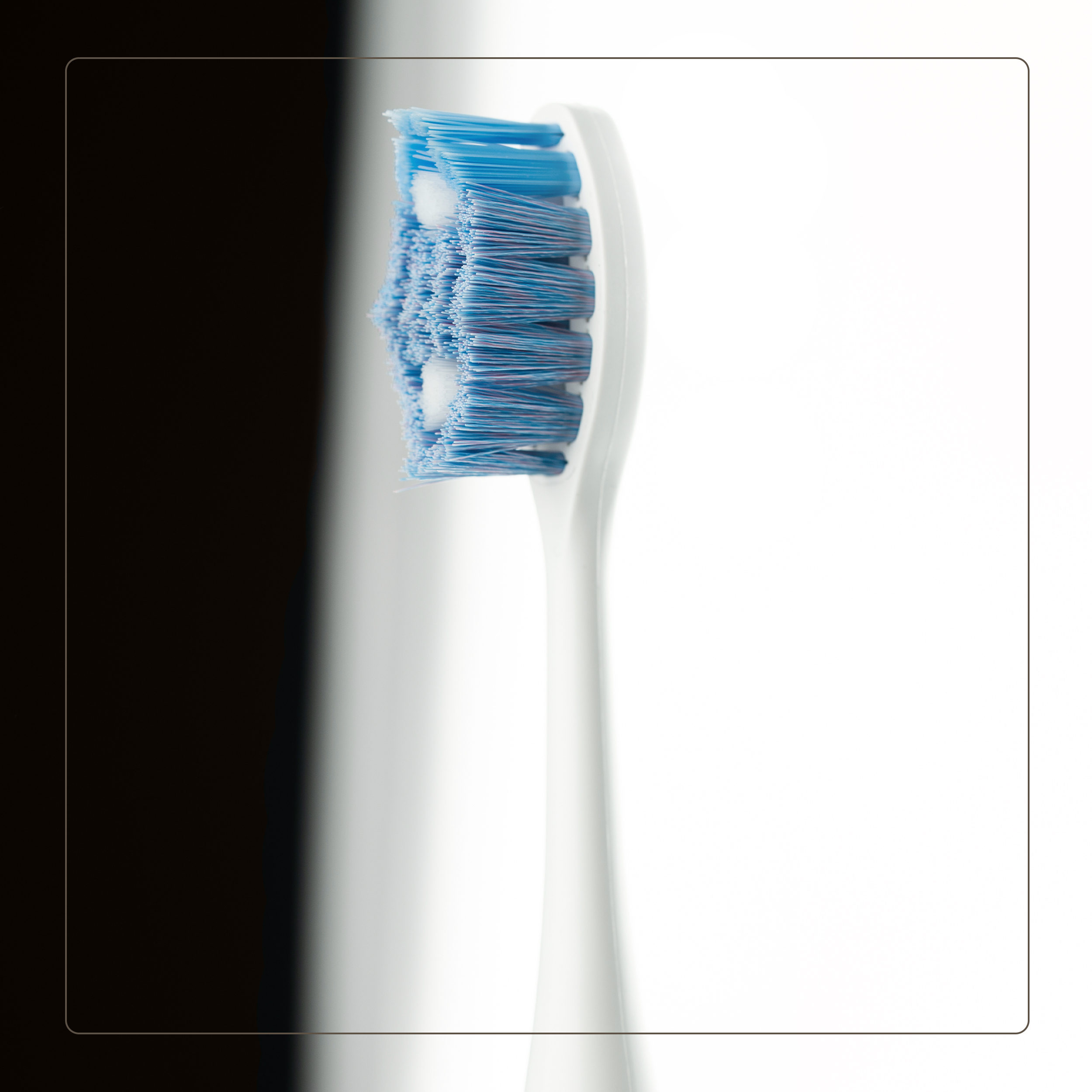 مسواک برقی دکتر آرمان مدل D22 به همراه سری یدک