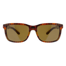 عینک آفتابی ویفرر (Wayfarer) پولو مدل 0PH4098-501773