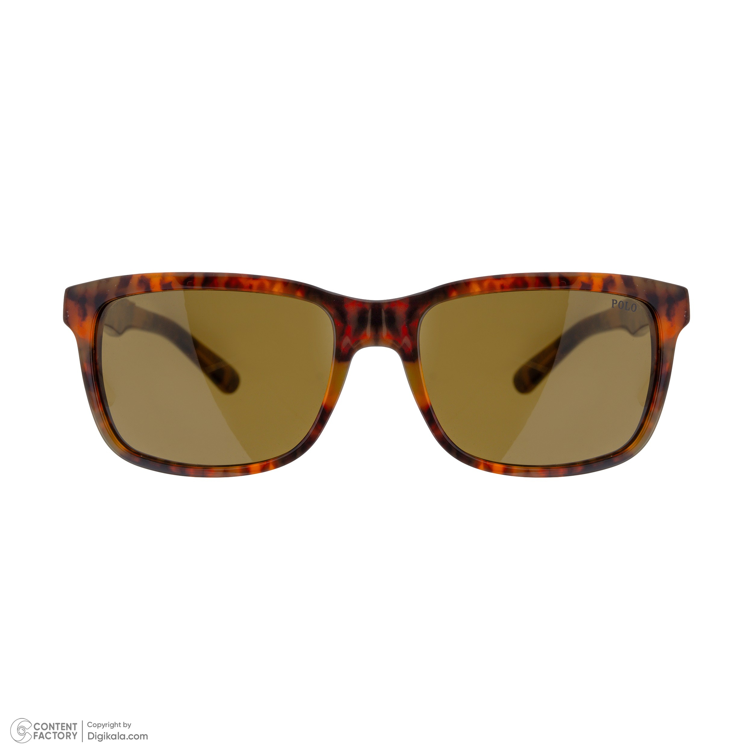 عینک آفتابی ویفرر (Wayfarer) پولو مدل 0PH4098-501773