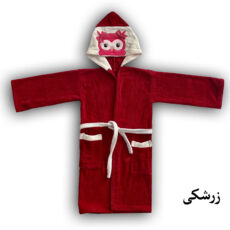 حوله پالتویی کودک هنرمند مدل جغد سایز 80x90 سانتی‌متر