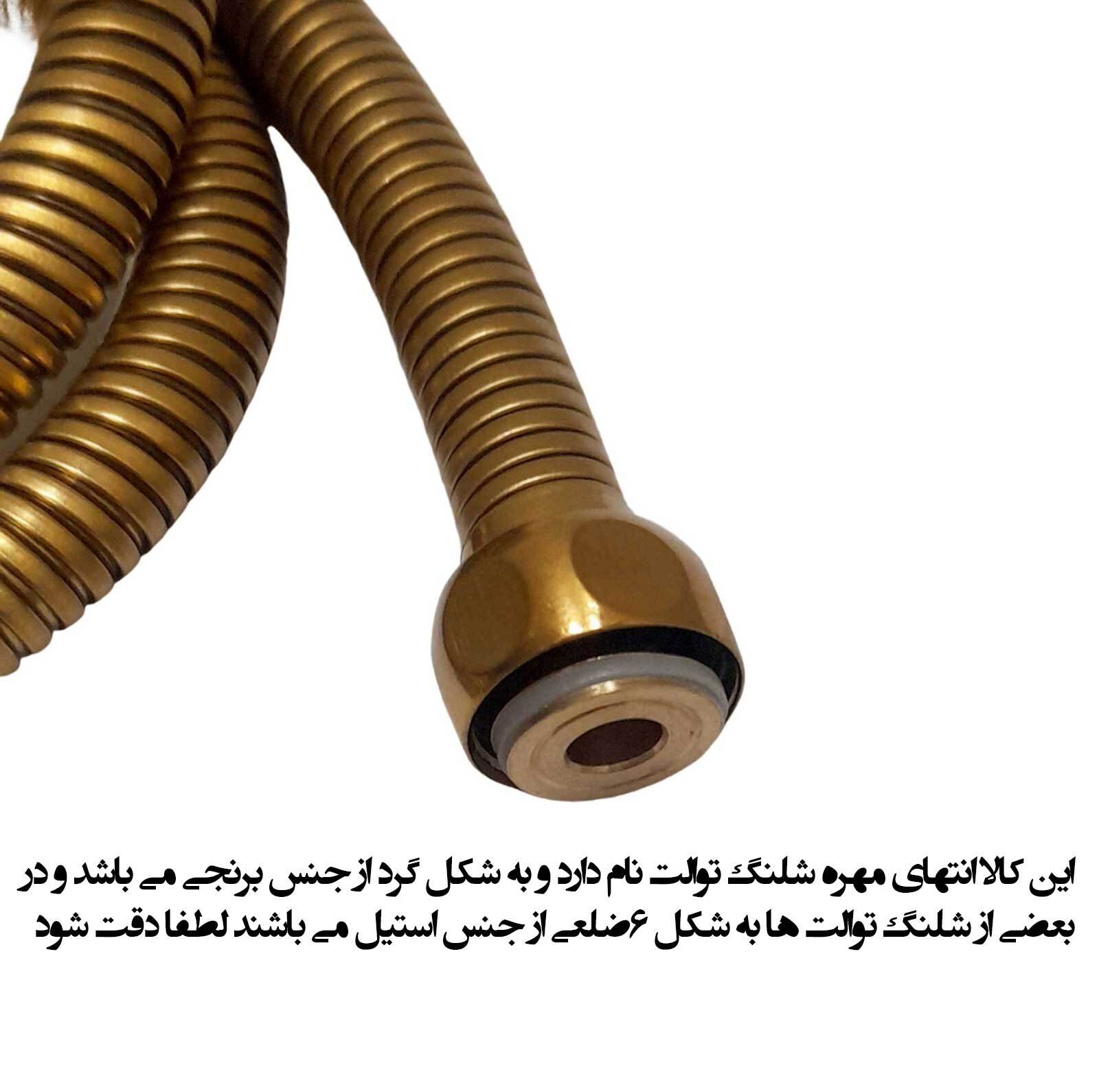 شلنگ توالت مدل ریزبافت برنجی کد M3