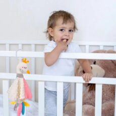آویز کریر کودک مدل دستمال آرامش قو